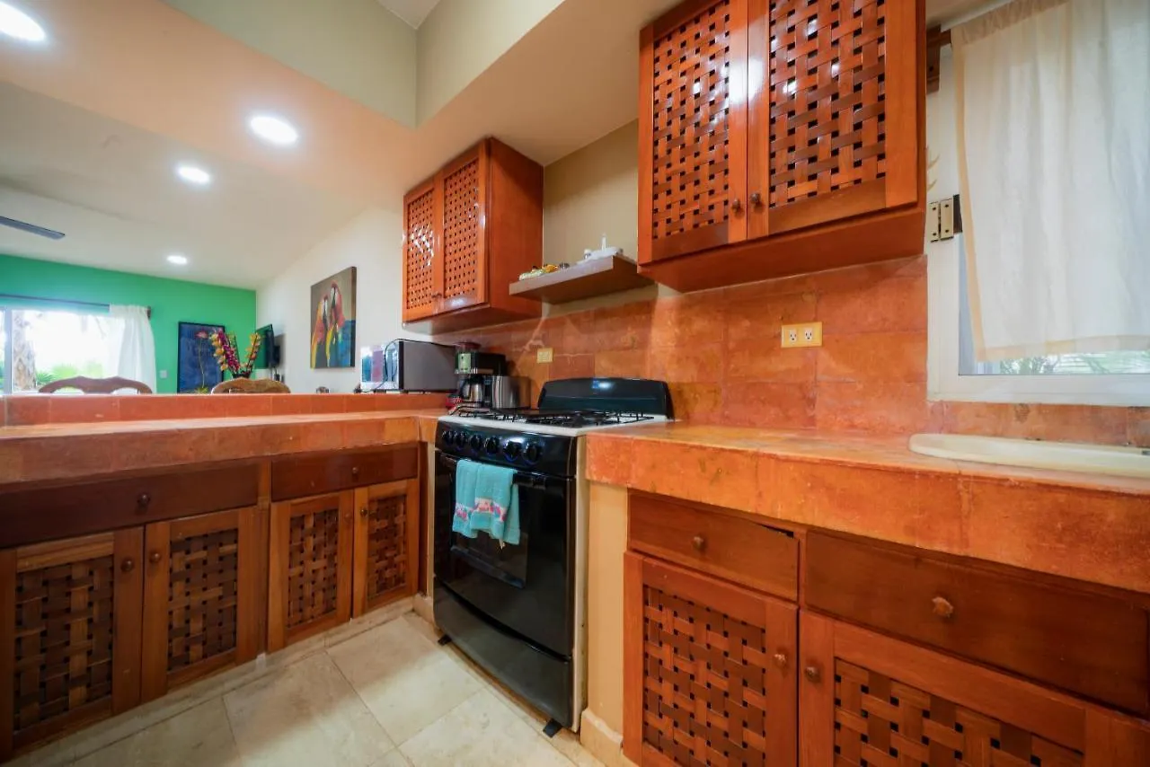 アパート Condo Rana Loca - Only 5 Min Walk To Beach - At, Playacar, Chac Ha Condos プレヤデルカーメン メキシコ